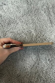 IPhone 13 Pro Max 256 GB - 6