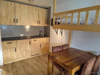 Pronájem apartmánu Bavorská Ruda - 6