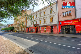 Pronájem bytu 1+kk, 55 m², Plzeň, ul. Americká - 6