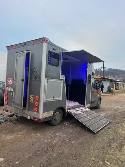 Renault Master - Přepavník na koně - 6