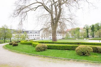 Bratislava staré mesto 3 izb. byt - 6