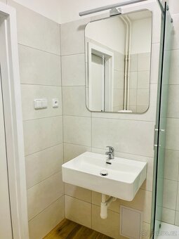 Pronájem vybaveného 1+1 po rekonstrukci,39 m² s balkonem - 6
