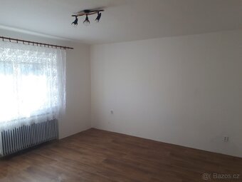 Horní Beřkovice - Pronájem RD se zahradou a bazénem - 6