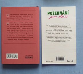 Tajemství harmonie, Slepičí polévka pro duši..... - 6