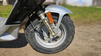 Silver fox 50 s Tp - 6