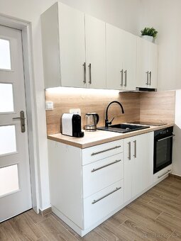Krátkodobý pronájem - apartmán "Jen tak spolu" ve Znojmě - 6