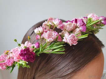 Růže drobnokvětá růžová - 6