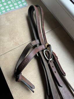 Westernová uzdečka - 6