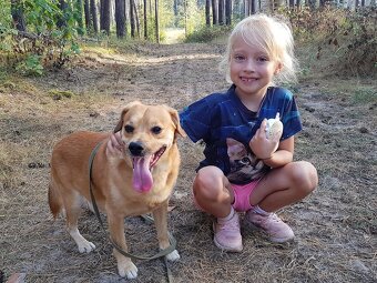 PINGI K ADOPCI - akční veselý mazel, vhodný k dětem - 6