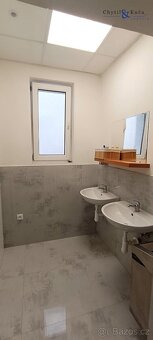 Pronájem - OBCHOD, DÍLNA, SKLAD ( až 351 m2 ) Přerov - 6