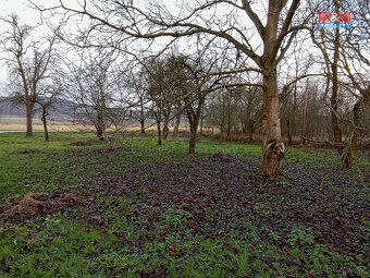 Prodej rodinného domu, 80 m², Kravaře, ul. Kravaře - 6