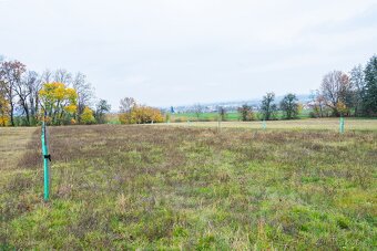 Zahrada, pozemek, Bělkovice-Lašťany 1900m2 - 6