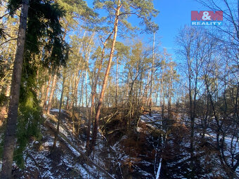 Prodej lesa, 3720 m², Všehrdy - 6