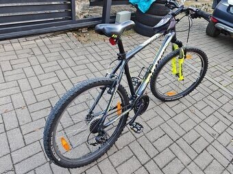 Author Outset 19 - 6