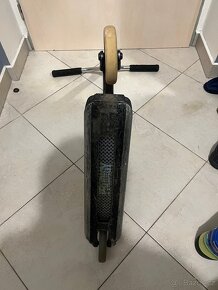 Scoot - 6