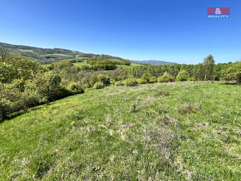 Prodej louky, 21830 m², Malšovice - Hliněná - 6