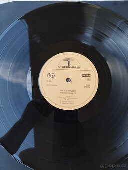 DIE EL.ELEFFANT? - Elephanotology? - 6