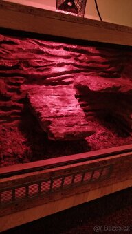 Terárium 170x50x45 - 6