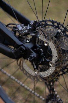 Canyon Spectral CF8 - 6