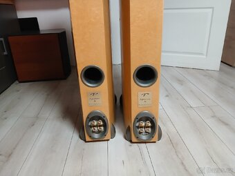 Paradigm reference signature S8 - 6