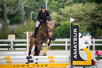 Český sportovní pony s velkým srdcem a potenciálem - 6