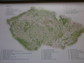 Kniha nerostů - 6
