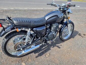 Mash 650 - 6