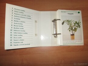 Pokojové rostliny od A do Z (35 karet) - 6