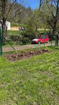Prodej zahrádky Bělá pod Bezdězem, pozemek 616 m² - 6