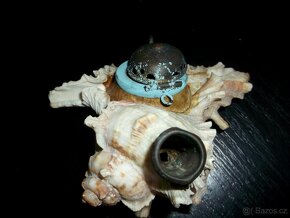 Starý kalamář z MUŠLE - LASTURY - 6