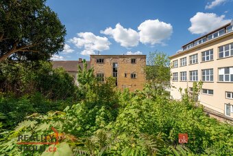 Prodej, domy/rodinný, 442 m2, Masarykova 870/23, 67801 Blans - 6