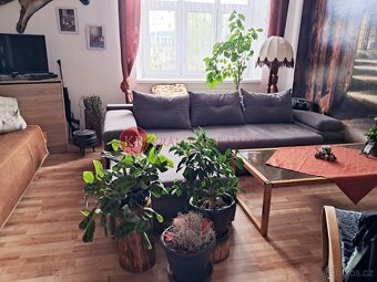 Prodej bytu 2+1 se stavebním pozemkem 1305 m2 - 6