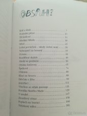 Jak se žení princové - 6