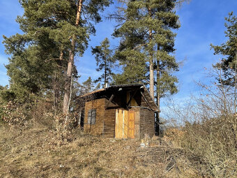 Pozemek pro glamping s malou chatkou Šumava - 6