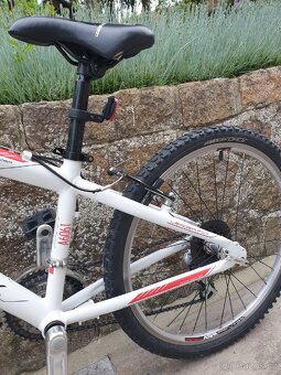 Kolo Leader Fox 24, Al - 6