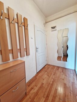 Pronájem 1+1, 45 m2, Ostrava Mariánské Hory - 6