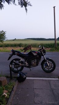 Honda 125 CBR - 6