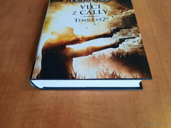 Stephen King - Vlci z Cally a Temná věž - 6