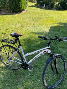 Leader Fox Toscana Lady 19’ - 6