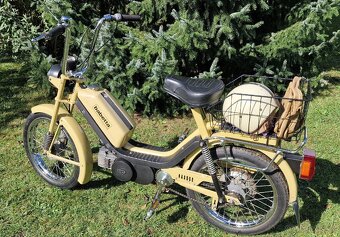 Babetta - 6