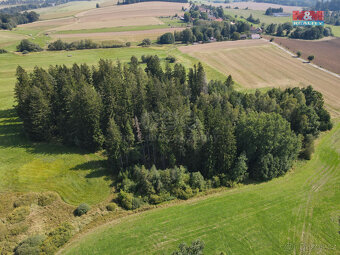 Prodej lesa, 4708 m², Kamenice nad Lipou - 6