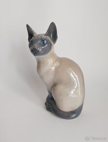 Královská Kodaň - siamská kočka - 6