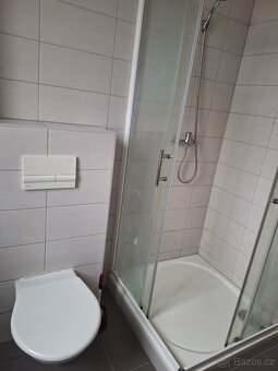 1kk , 29 m2, Chotěšov - 6