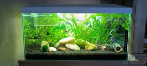 Akvarium 60l+stolek - 6