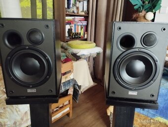 DYNAUDIO AUDIENCE 5 - 6