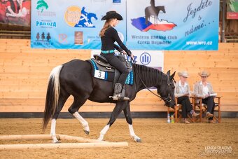 Paint horse hřebeček 2024 - 6