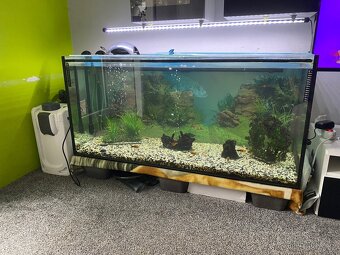 Akvárium 310L + příslušenství - 6