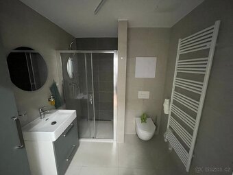 Pronájem 1+kk 38m2 Plzeň-Litice - 6