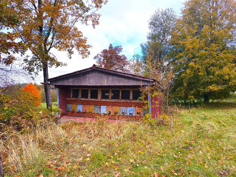 Janov - zemědělská usedlost se stodolou a pozemky 11 612 m2 - 6