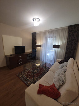 Pronájem bytu 2+kk, U Borského parku 2887/27, 52 m2 - 6
